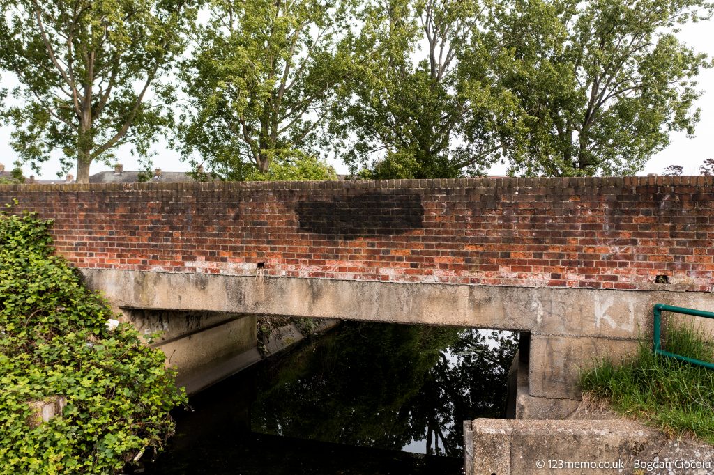 Survey, inspect bridge and tunnels - Bogdan Ciocoiu