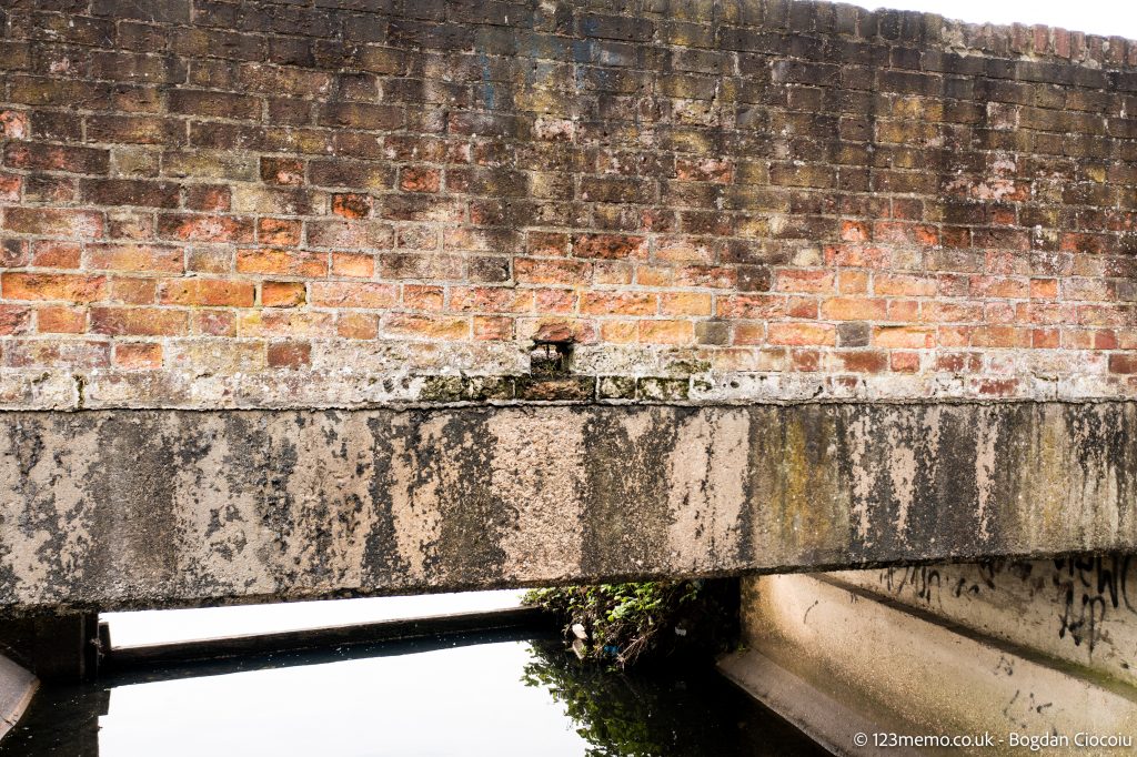 Survey, inspect bridge and tunnel - Bogdan Ciocoiu